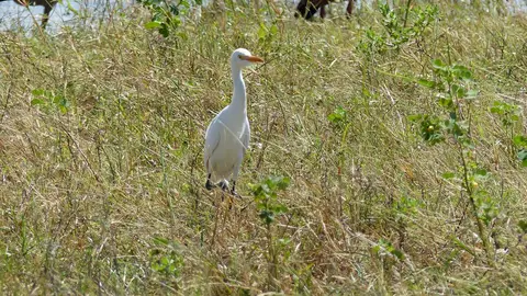 k-P1050554.JPG