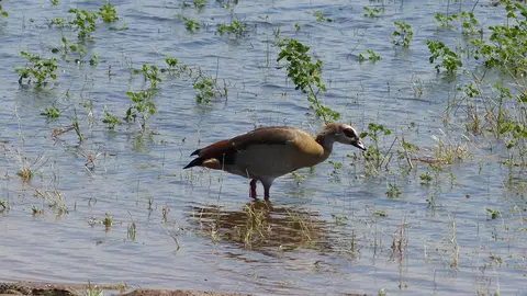 k-P1050557.JPG