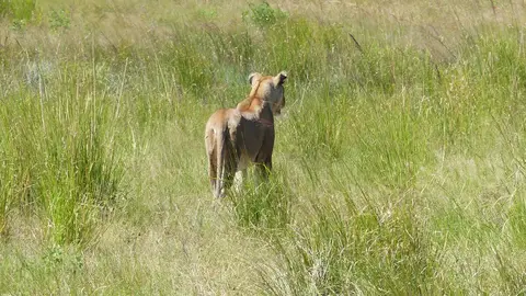 k-P1050747.JPG