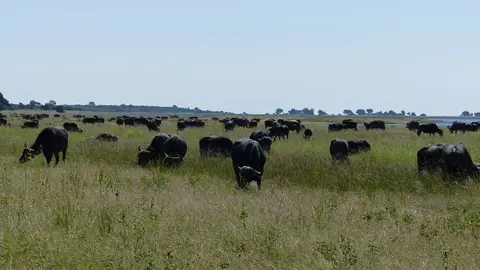 k-P1050753.JPG