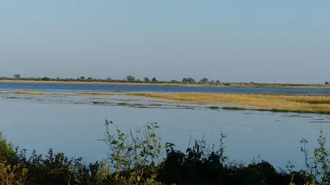 k-P1050786.JPG