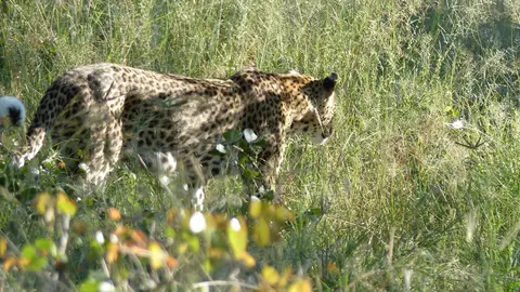 k-P1050865.JPG