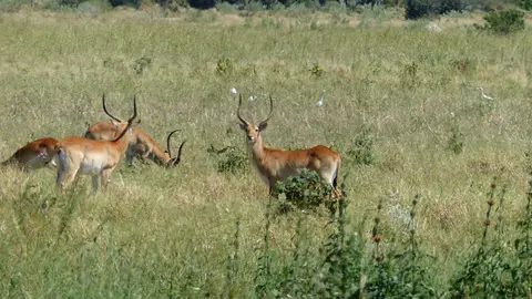 k-P1050935.JPG