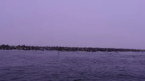 h7a373a7.JPG