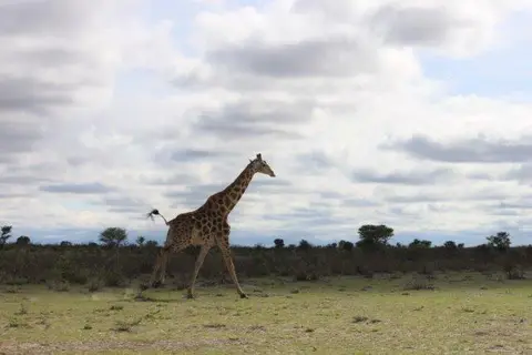 h3d7989e.jpg