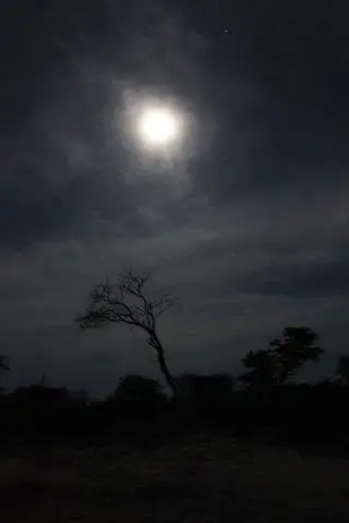 h538d865.jpg