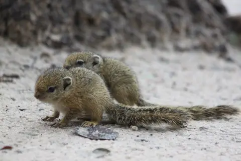 h850c95b.jpg