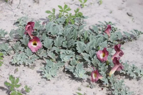 haea8720.jpg