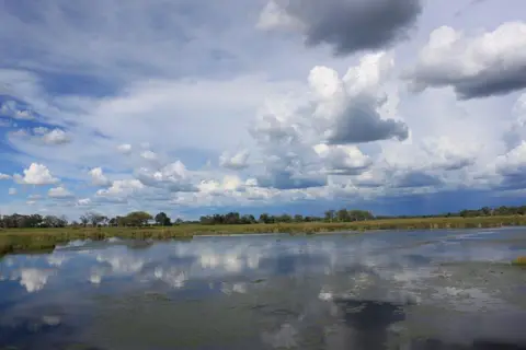 haff71a9.jpg
