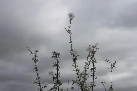 hb584645.jpg