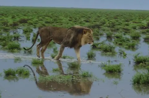 Bild5Etosha.jpg