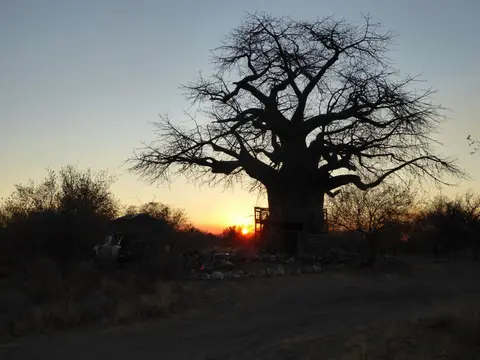 P1000924.JPG