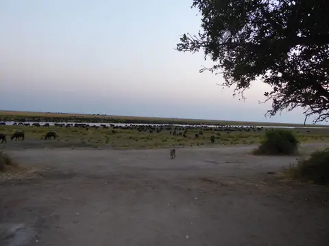 P1010451.JPG