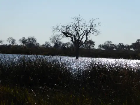 P1010738.JPG