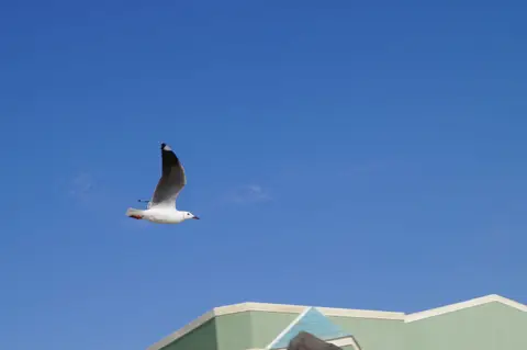 DSC00265.JPG