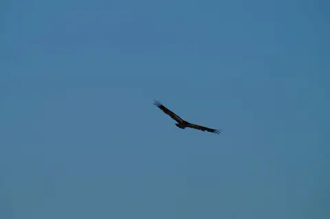 DSC01396.JPG