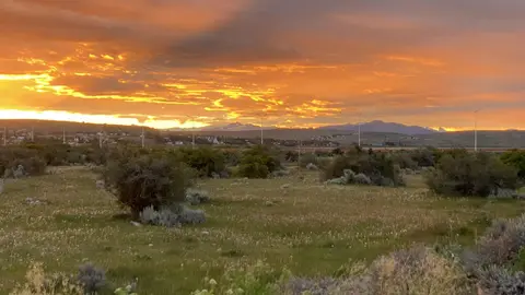 ElCalafate.jpg