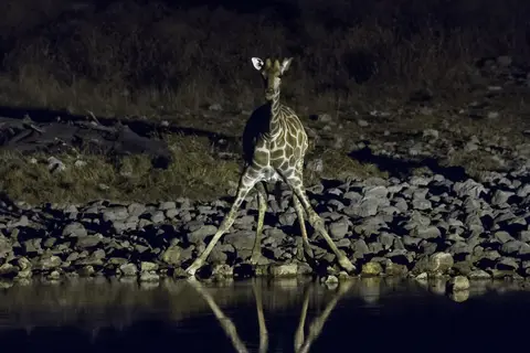 Namibia-3903.jpg