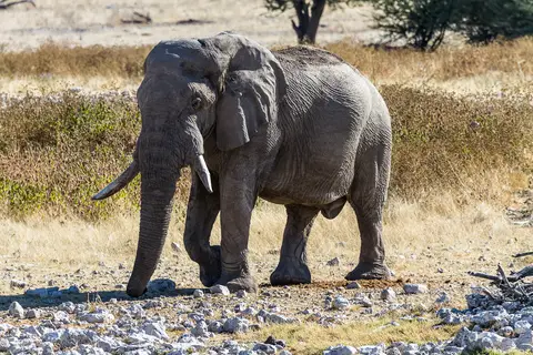 Namibia2012-405.jpg