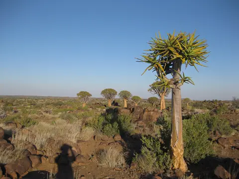 Namibia2012-41.jpg