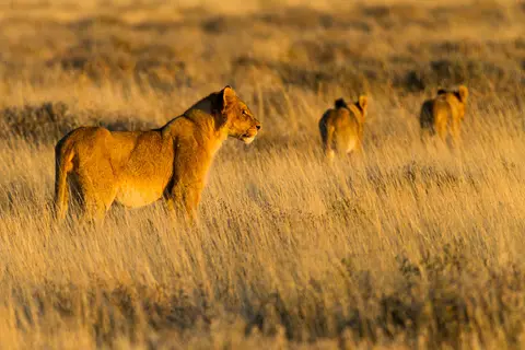 Namibia2012-430.jpg