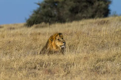 Namibia2012-445.jpg