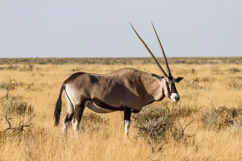 Namibia2012-464.jpg