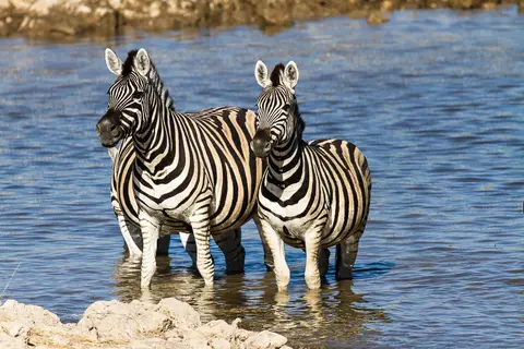 Namibia2012-470.jpg