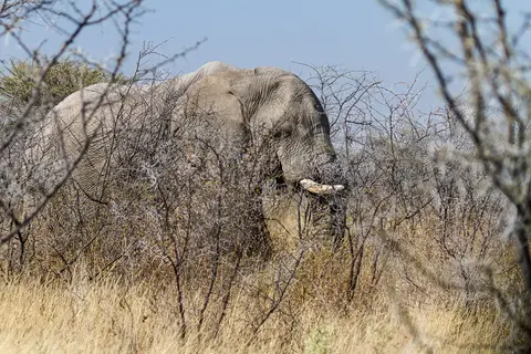 Namibia2012-506.jpg