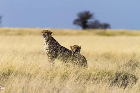 Namibia2012-508.jpg