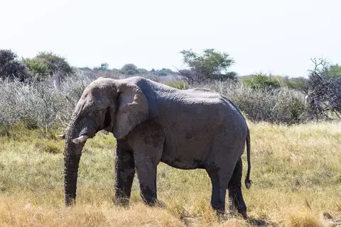 Namibia2012-523.jpg