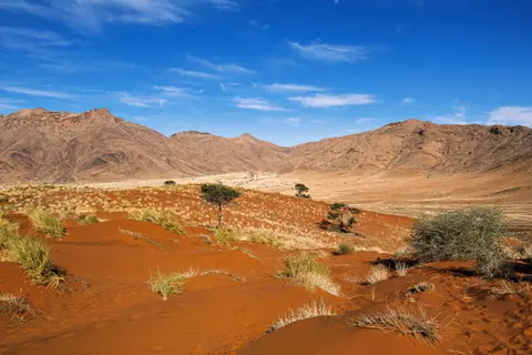 Namibia2023_20230510_OM103858-Bearbeitet.jpg