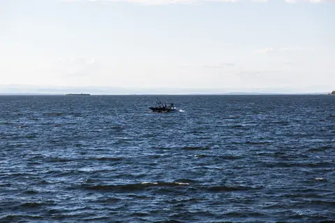 hcd8f19a.jpg
