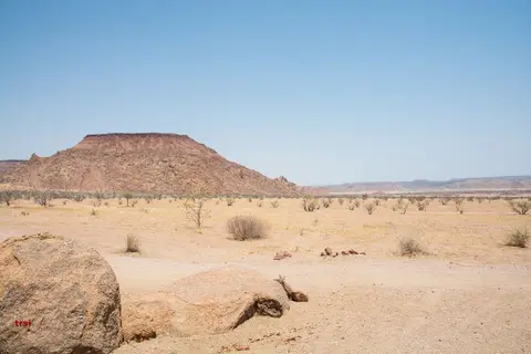 DS1_9672.jpg