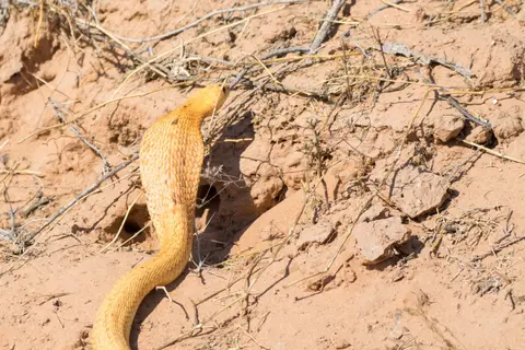 DS2_1122.jpg