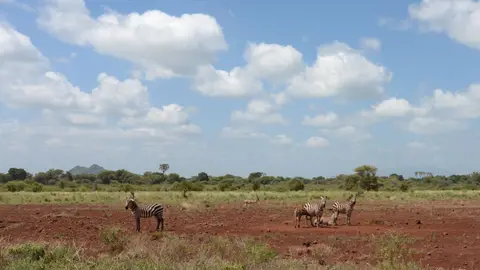 2017Kenia0011.jpg