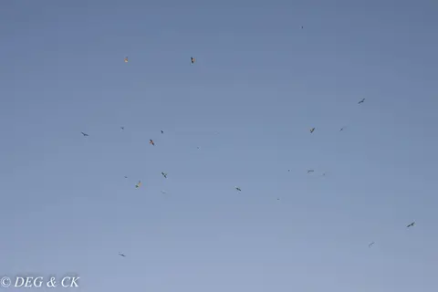 Lewa(113von20).jpg
