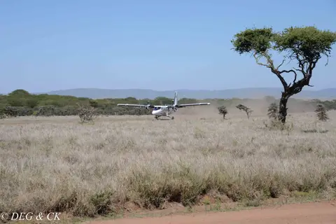 Lewa(119von20).jpg