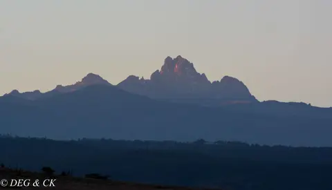 Lewa(1von42)-2.jpg