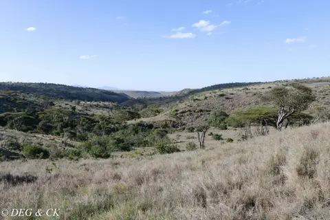 Lewa(30von42).jpg