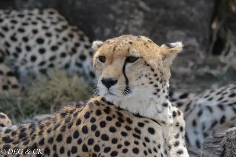 MaraNorth1(2von38).jpg
