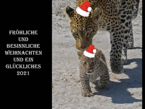Weihnachten2020Forum.jpg