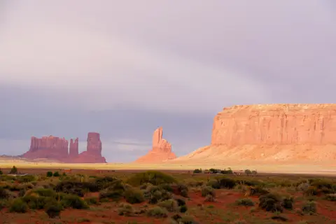 408C60E0-E7E2-40F6-AE1C-08051B8E31D2.jpeg