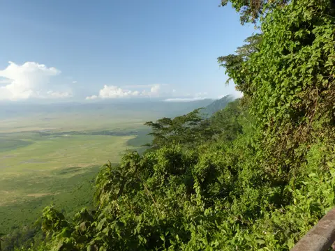 P1450703.JPG