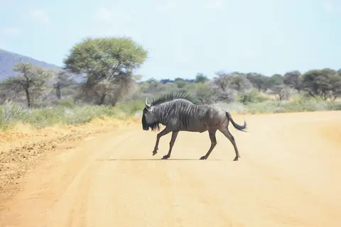 Namibia01,2016-49.jpg