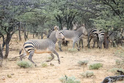 Namibia01,2016-93.jpg