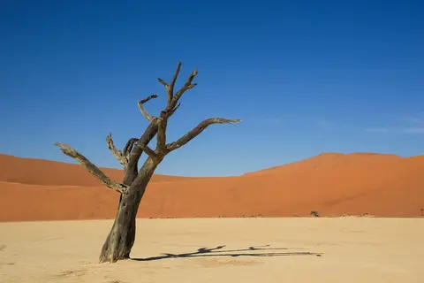 Namibia03-118.jpg