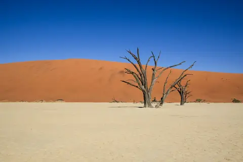 Namibia03-132.jpg