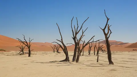 Namibia03-149.jpg