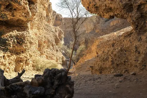 Namibia03-196.jpg